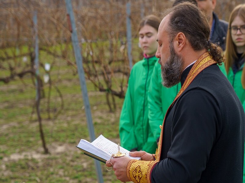 КубГАУ, Протоиерей, Праздник,  Виноградарство