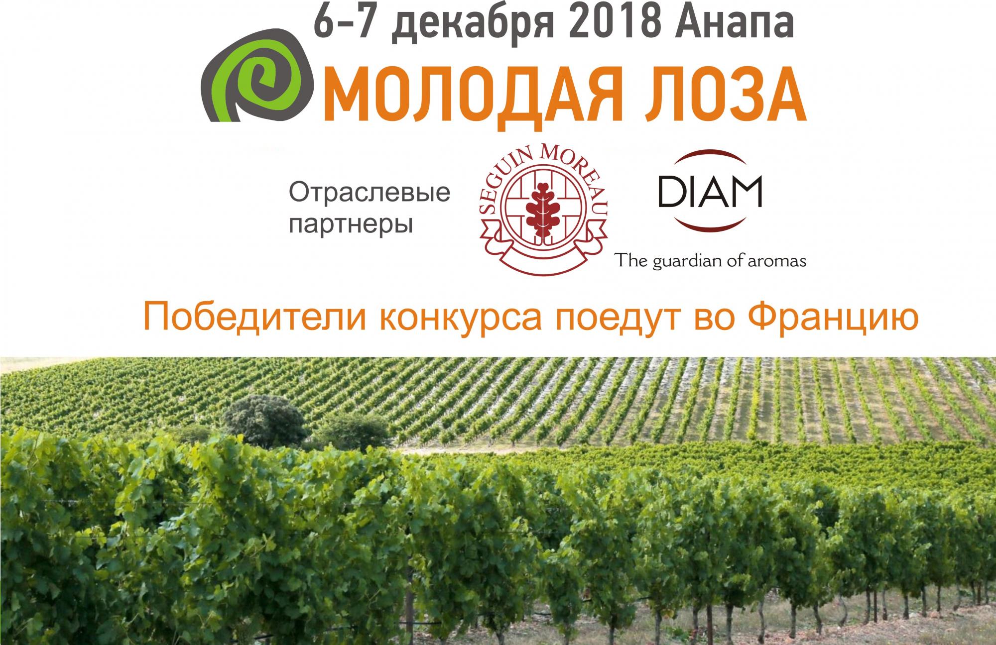 "Молодая лоза", конкурс, винодел