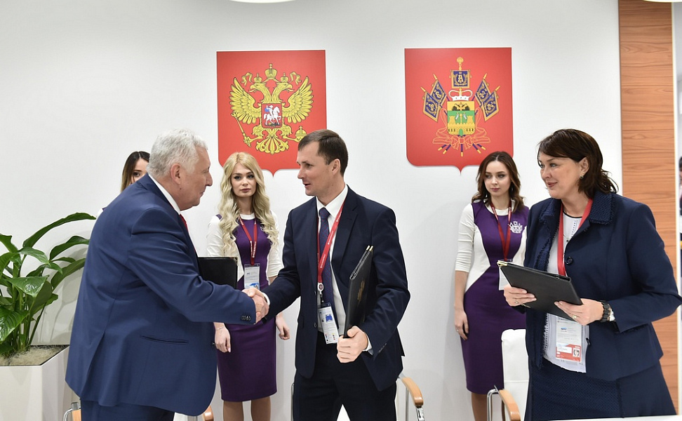 виноградники, «Абрау-Дюрсо», Анапа, Сочи, Российский инвестиционный форум