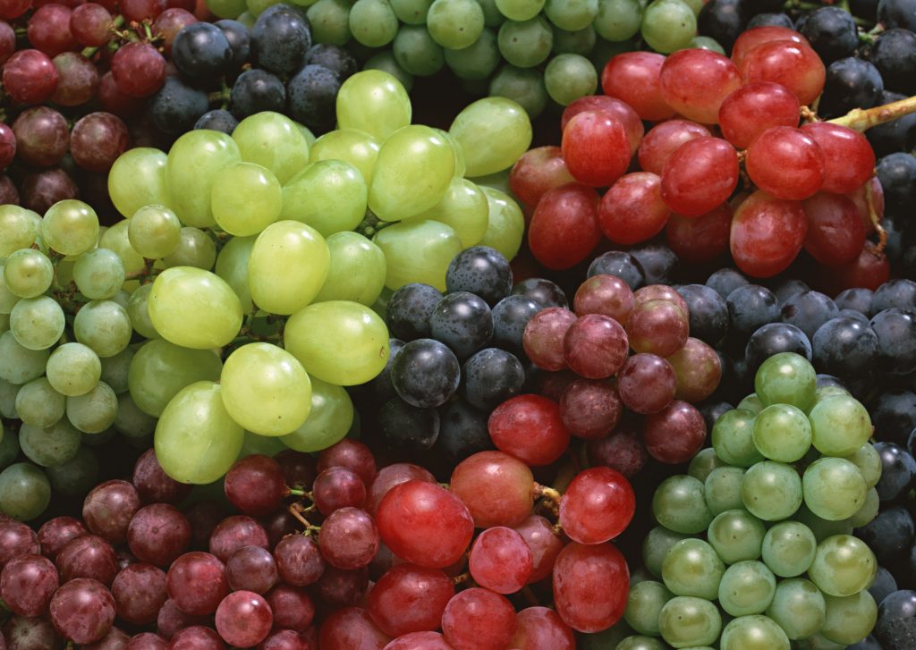урожай винограда, США, Калифорния