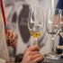 алкоголь, вино, виноделие, эксперты, Grand Jury Du Vin , симпозиум