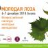 «Молодая лоза», конкурс, виноделы, Анапа