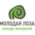 «Молодая лоза», конкурс, «Кубаньвиноградалко», Бюро «Винные истории»