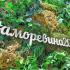 Анапа, «Горгиппия», вино, мастер-класс