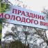 молодое вино, Кисловодск