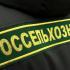 Россельхознадзор, Всероссийский саммит виноделов 2017