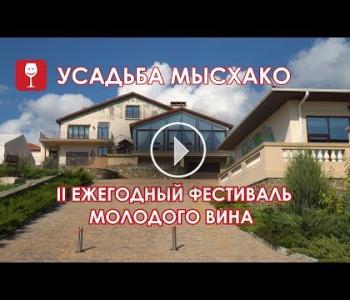 Embedded thumbnail for Активный Виноголик. Второй ежегодный фестиваль молодого вина в Усадьбе Мысхако.