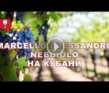 Embedded thumbnail for Активный Виноголик. Marcello-Alessandro Nebbiolo на Кубани